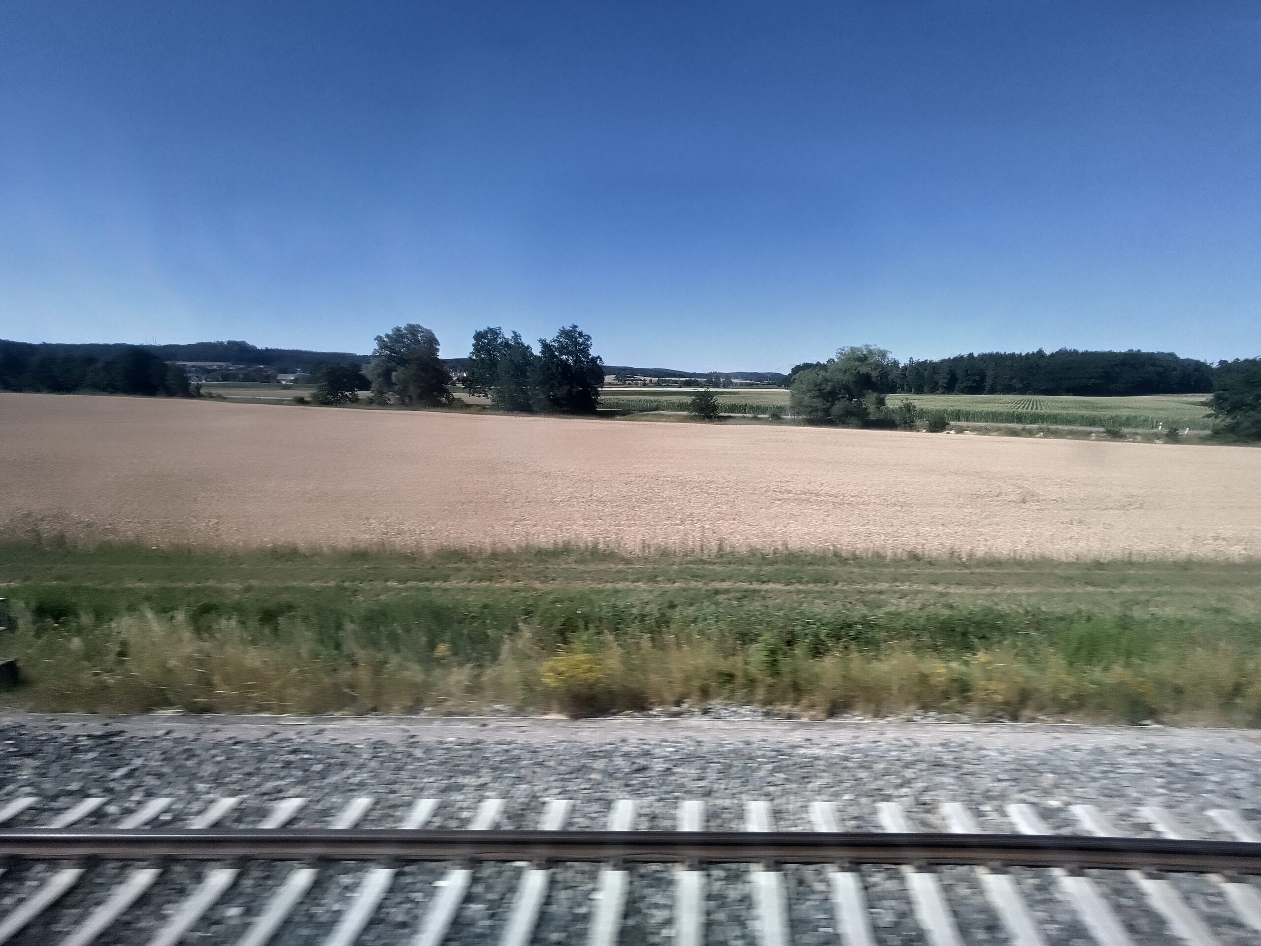 Image avec des rails en premier plan, une champ jaune en second plan, des arbres en troisième plan, et un ciel très bleu